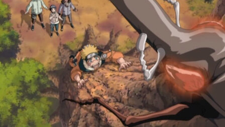 Watch What's the Difference? Don't All Insects Look Alike?. Episode 14 of Season 6.