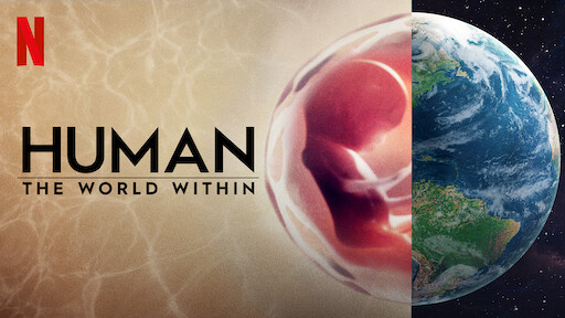 Human: The World Within